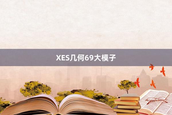 XES几何69大模子