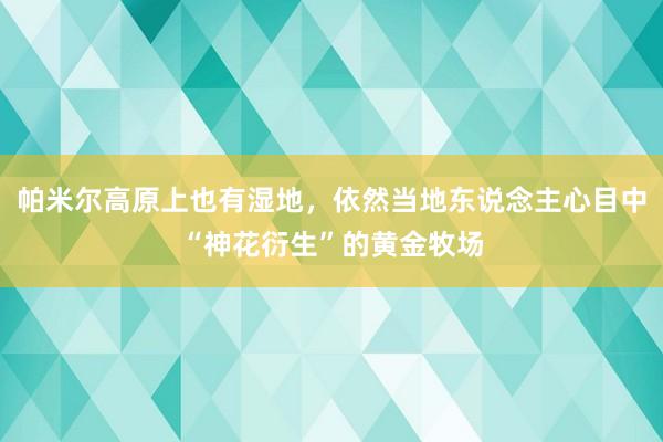 帕米尔高原上也有湿地,依然当地东说念主心目中“神花衍生”的黄金牧场
