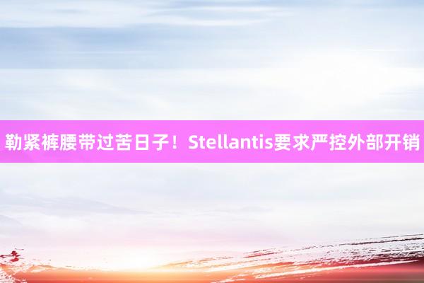 勒紧裤腰带过苦日子!Stellantis要求严控外部开销