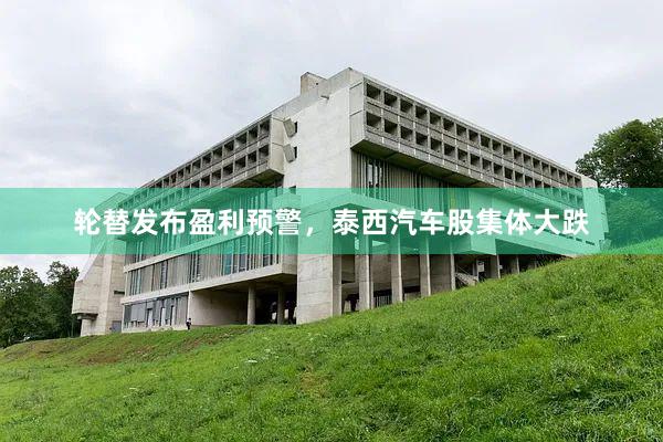 轮替发布盈利预警,泰西汽车股集体大跌