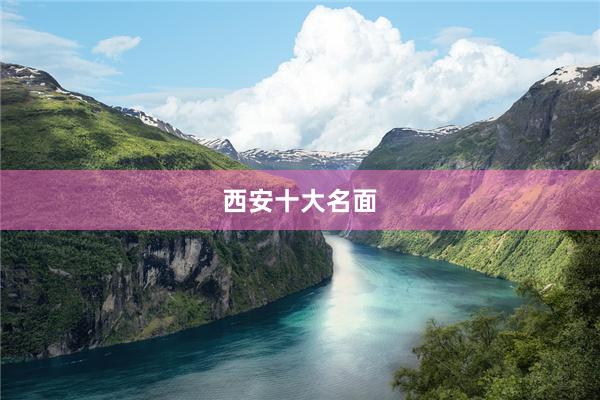 西安十大名面