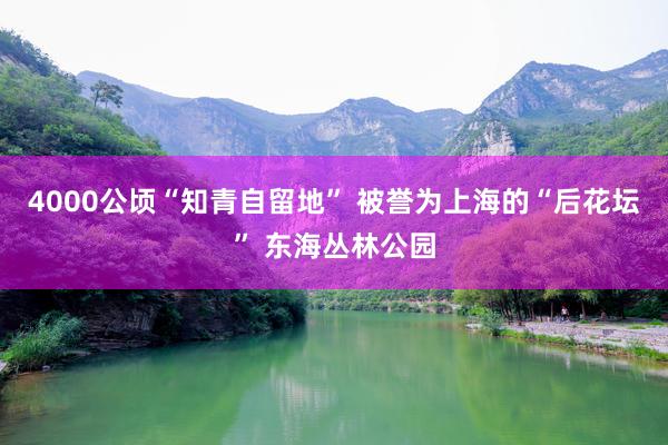 4000公顷“知青自留地” 被誉为上海的“后花坛” 东海丛林公园