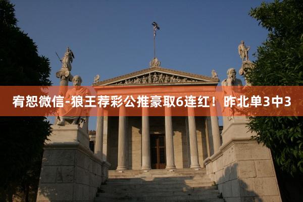 宥恕微信-狼王荐彩公推豪取6连红!昨北单3中3