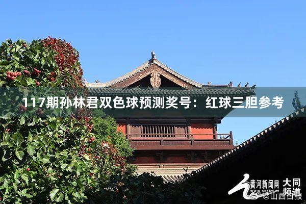 117期孙林君双色球预测奖号:红球三胆参考