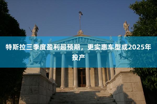 特斯拉三季度盈利超预期,更实惠车型或2025年投产