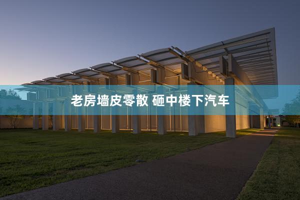 老房墙皮零散 砸中楼下汽车