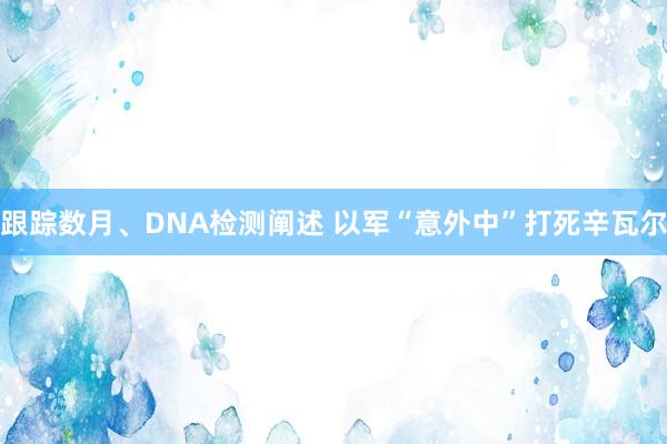 跟踪数月、DNA检测阐述 以军“意外中”打死辛瓦尔
