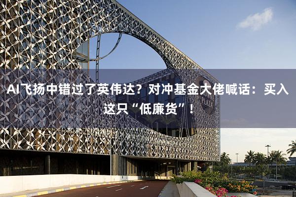 AI飞扬中错过了英伟达?对冲基金大佬喊话:买入这只“低廉货”!
