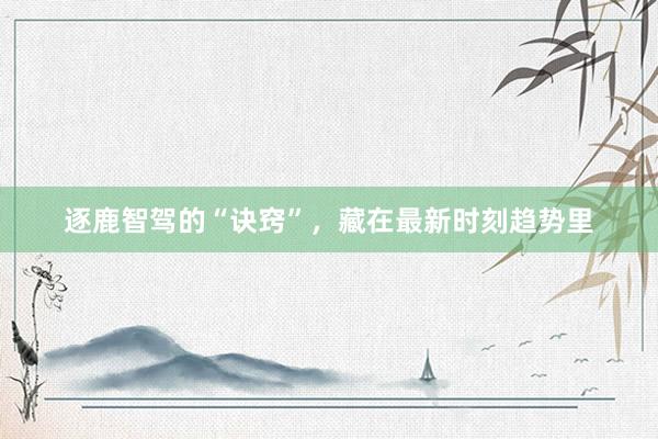 逐鹿智驾的“诀窍”，藏在最新时刻趋势里