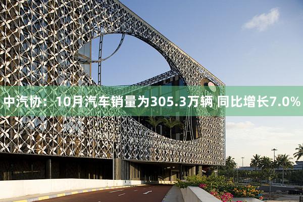 中汽协：10月汽车销量为305.3万辆 同比增长7.0%