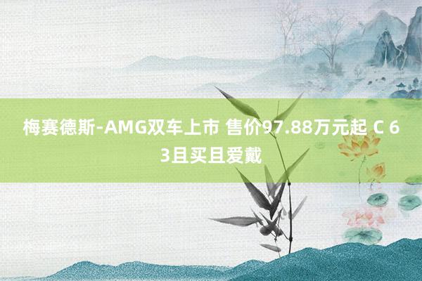 梅赛德斯-AMG双车上市 售价97.88万元起 C 63且买且爱戴