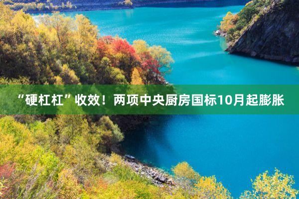 “硬杠杠”收效！两项中央厨房国标10月起膨胀