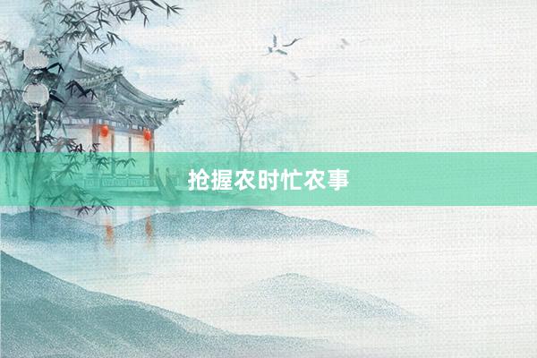 抢握农时忙农事